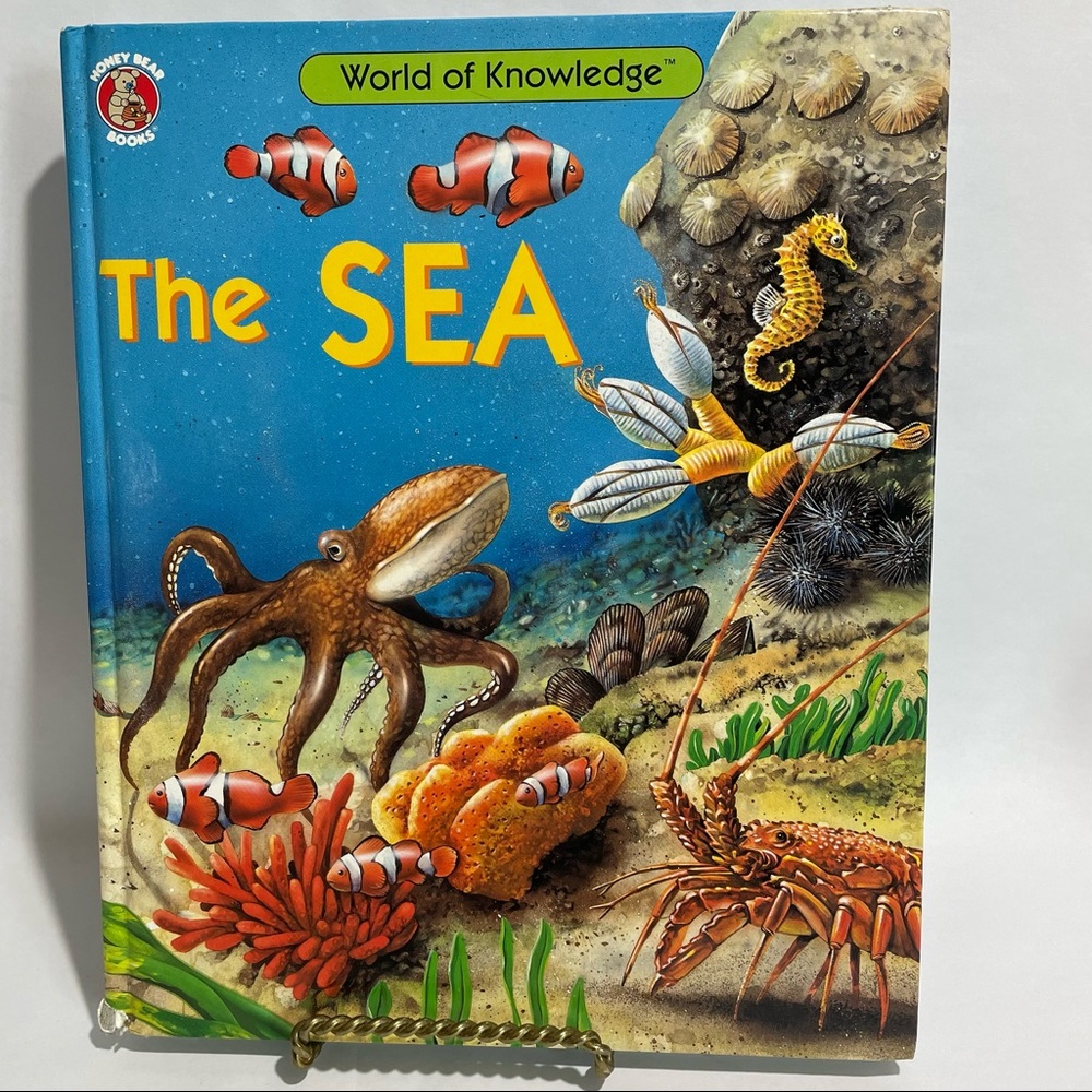 World of knowledge The Sea children's book